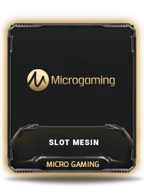 Slot Online Micro Gaming